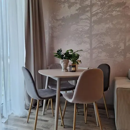 Appartement Larabelle Coresi Braşov
