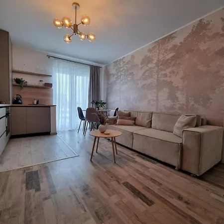 Larabelle Coresi Appartement Braşov